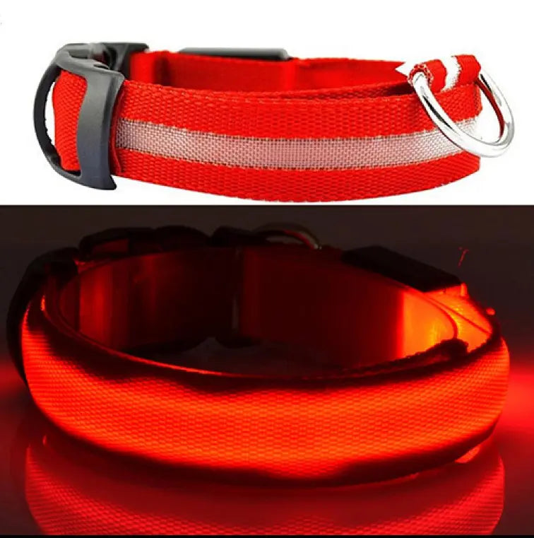 Collier pour chien à LED MyloveFREYJA