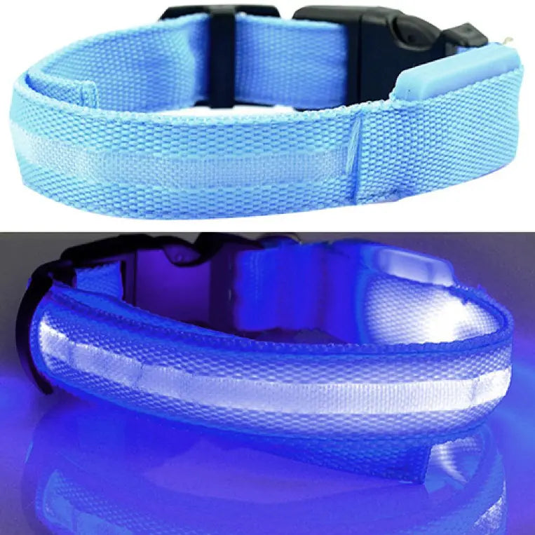 Collier pour chien à LED MyloveFREYJA