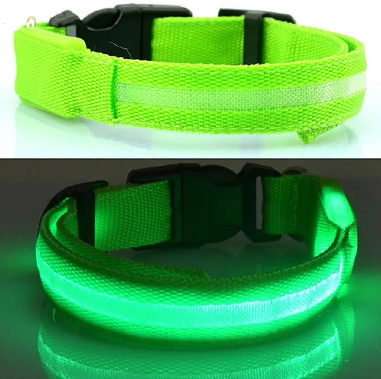 Collier pour chien à LED MyloveFREYJA