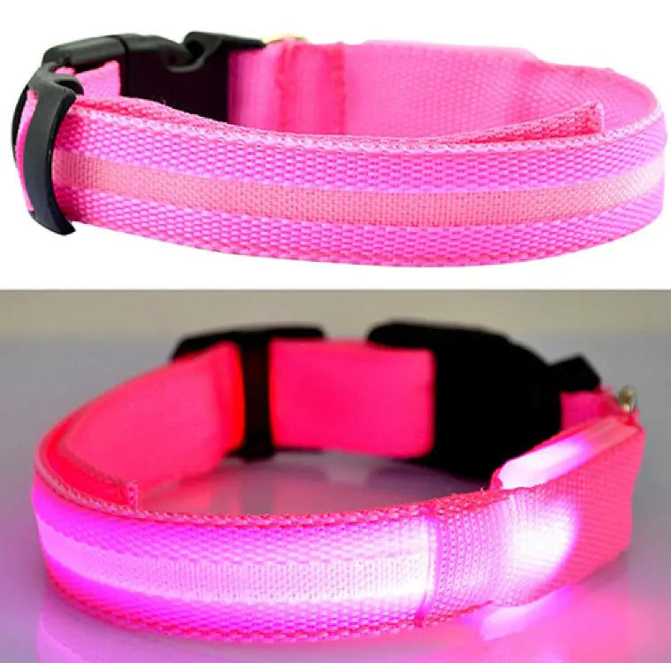 Collier pour chien à LED MyloveFREYJA