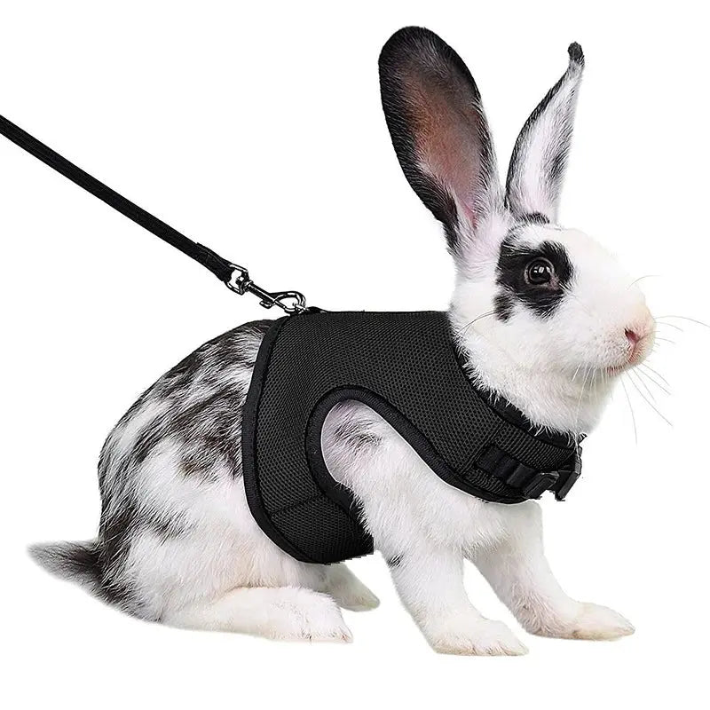 Harnais pour lapin MyloveFREYJA
