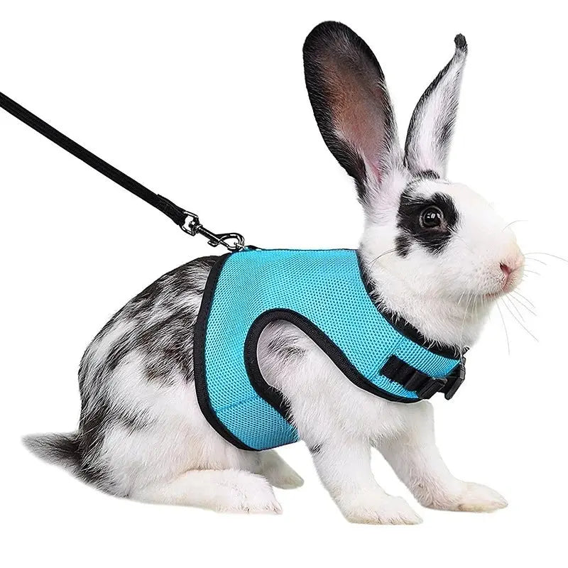 Harnais pour lapin MyloveFREYJA