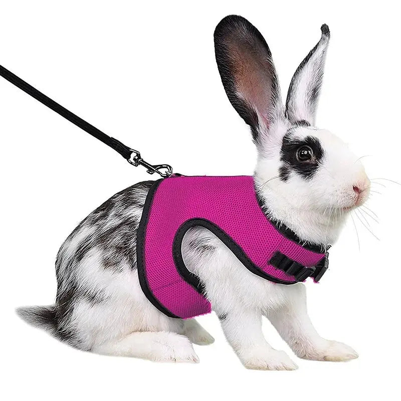 Harnais pour lapin MyloveFREYJA