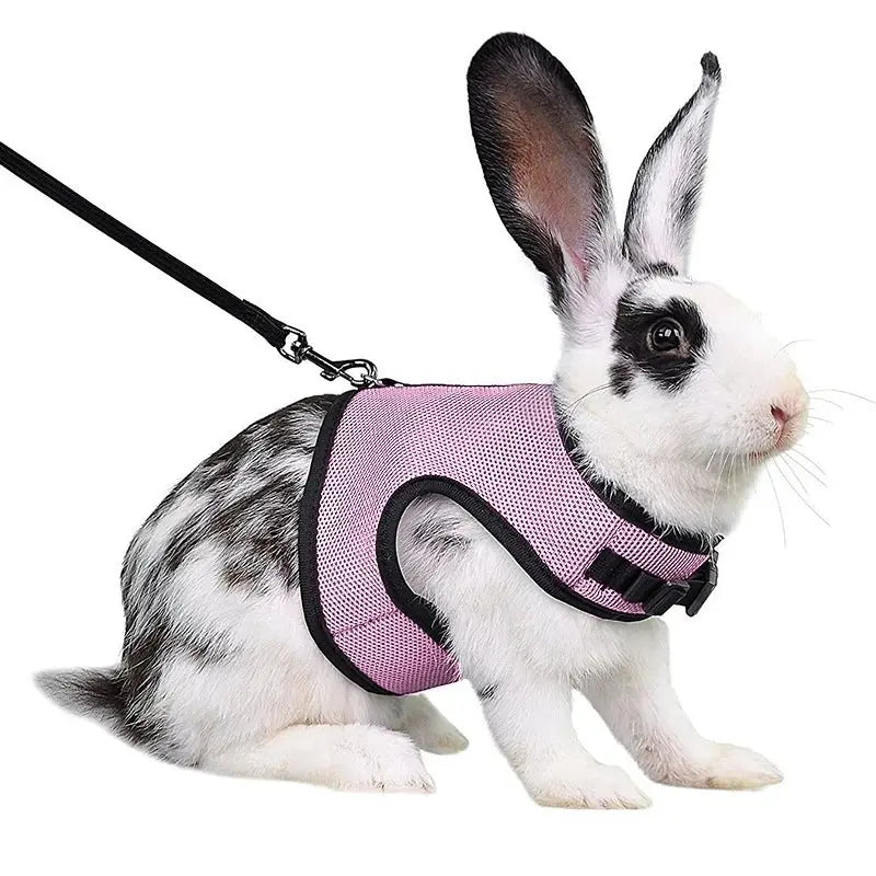 Harnais pour lapin MyloveFREYJA