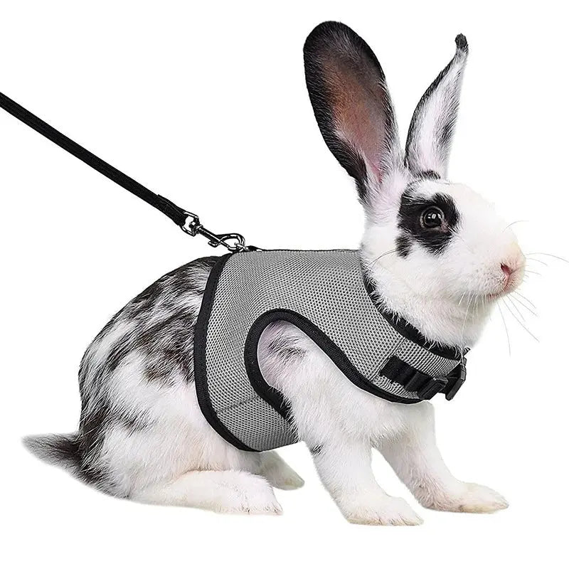 Harnais pour lapin MyloveFREYJA