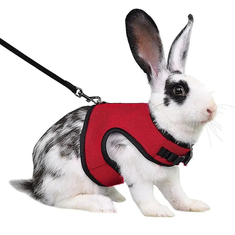 Harnais pour lapin MyloveFREYJA
