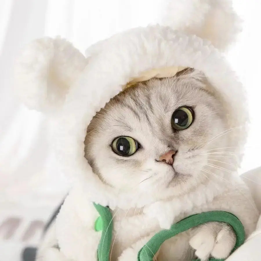Chapeaux Cosplay Mignons pour Animaux MyloveFREYJA
