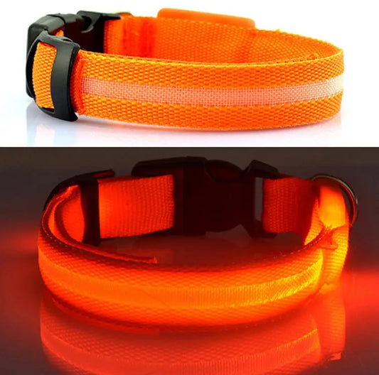 Collier pour chien à LED MyloveFREYJA