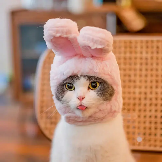 Chapeaux Cosplay Mignons pour Animaux MyloveFREYJA